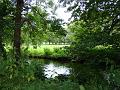 2008-0702-1445_Morden_Hall_17_C